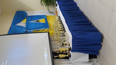 award trophies (2)